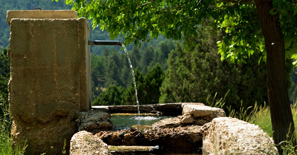 Rustic spring water fountain in Elmalı, Antalya, surrounded by lush greenery and serene forest.